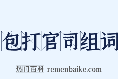 包打官司组词是什么意思的图片